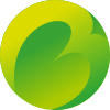 丸